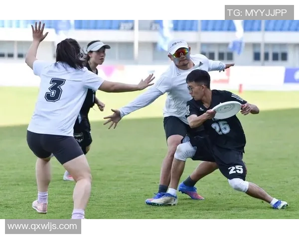 南京飞盘队的战术解析与控制技巧深度探讨