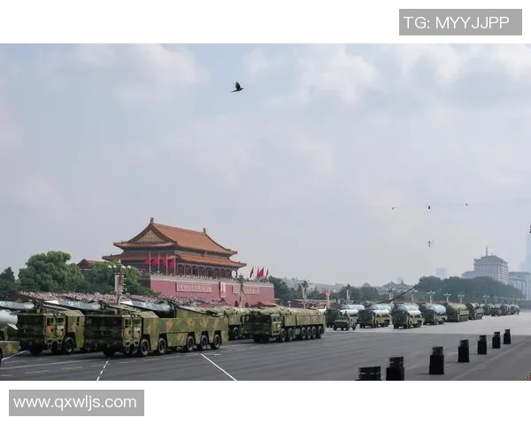 广州排球队的奋斗历程与荣耀时刻全景纪实